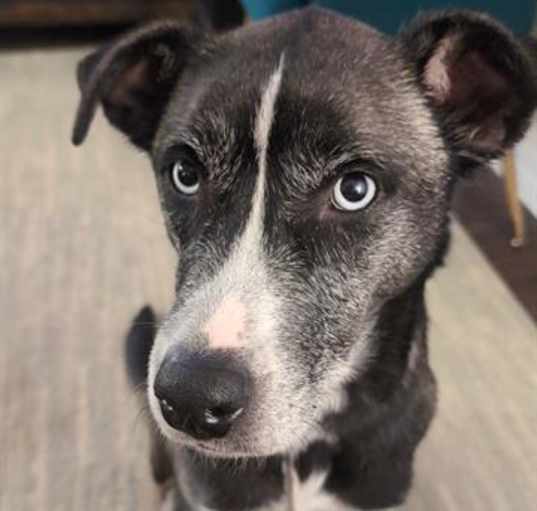 Photo of DIAMOND