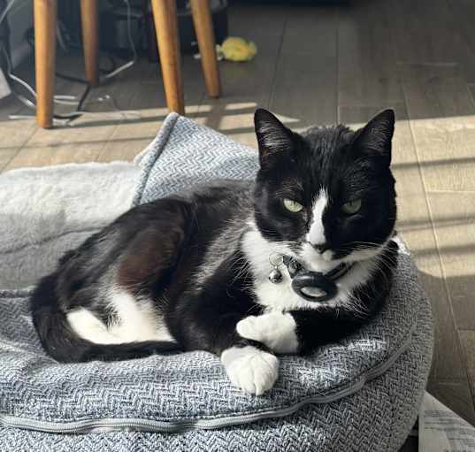 Photo of Lord Vader
