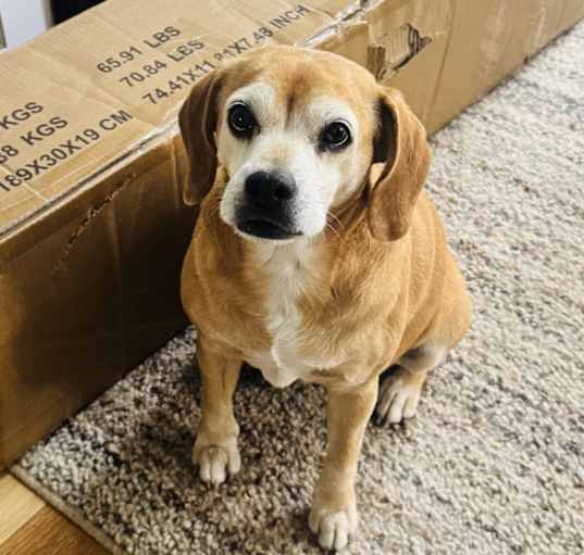 Photo of Sadie Mae