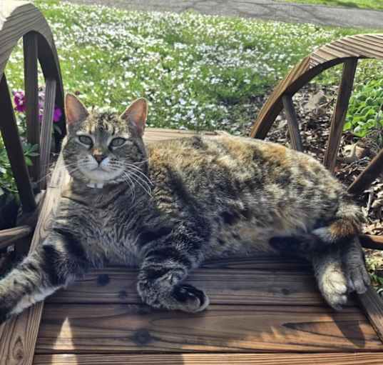 Photo of Lily