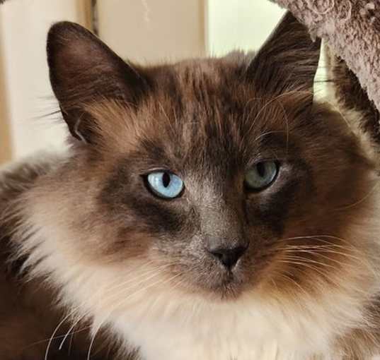 Photo of Jack