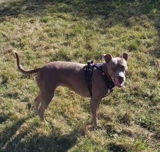 Photo of Charlie