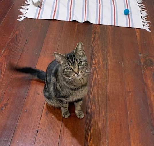 Photo of Blair Witch
