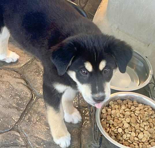 Photo of Pretty Girl Molly