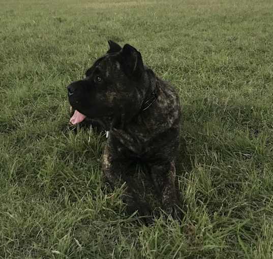 Photo of Zeus