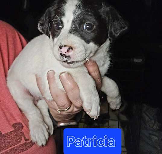 Photo of Patricia (I am very tiny)