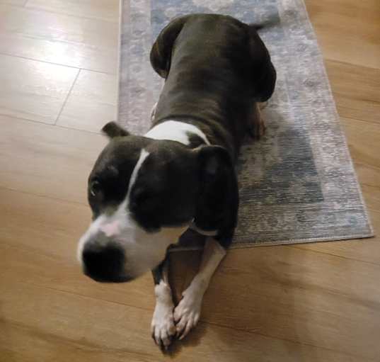Photo of Winnie