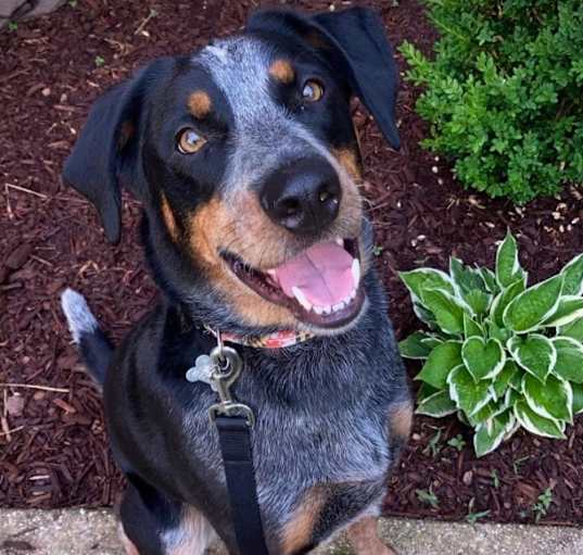 Photo of Remi