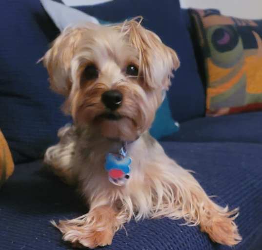 Photo of Charm