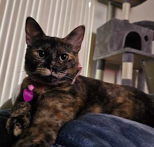 Photo of Kiara