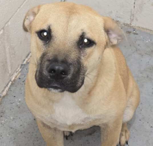 Photo of Sandy