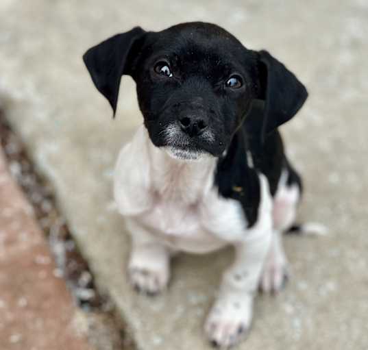 Photo of Oaklee