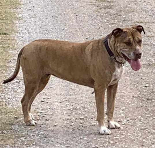 Photo of Lilly