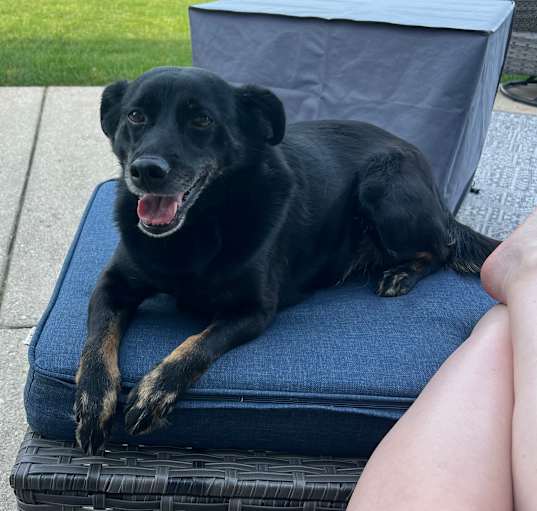 Photo of Flynn