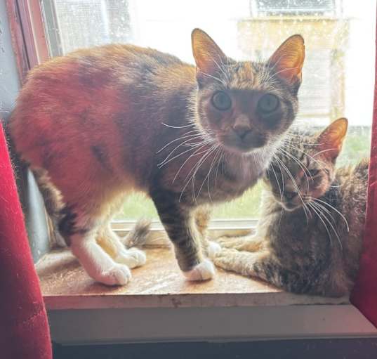 Photo of Isabelle and Victor