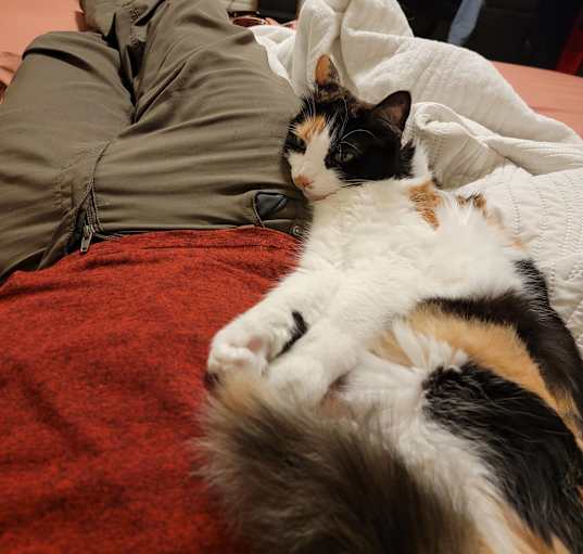 Photo of FeeFee