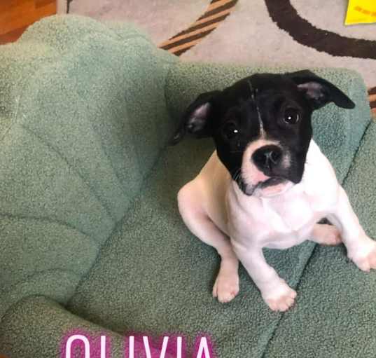Photo of Olivia