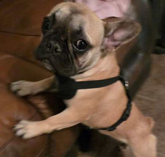 Photo of Chloe
