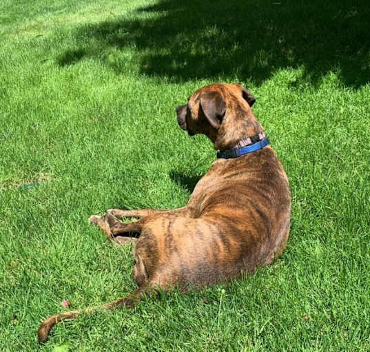 Photo of ZAZA