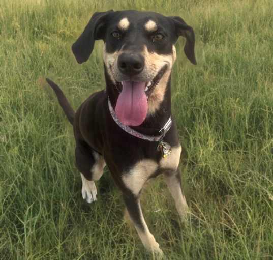 Photo of Georgia