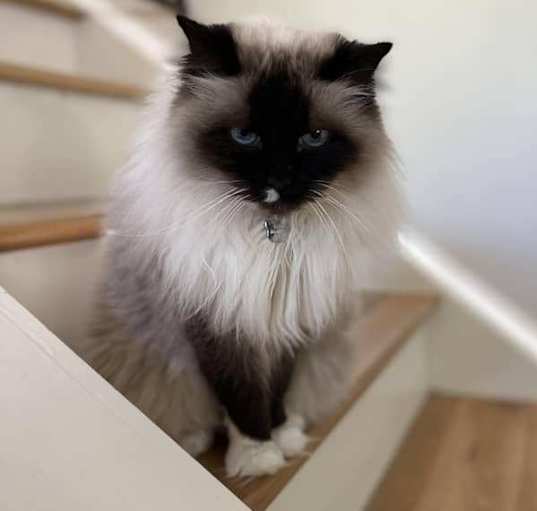 Photo of Marge