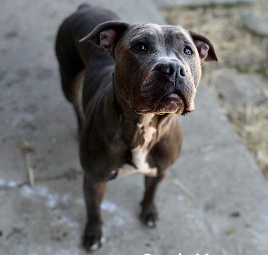Photo of Gracie Mae