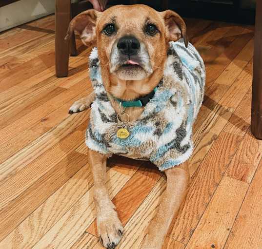 Photo of Finley