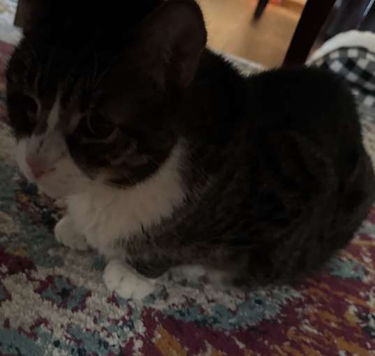 Photo of max