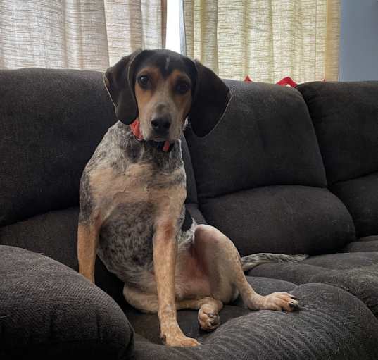 Photo of Hunter