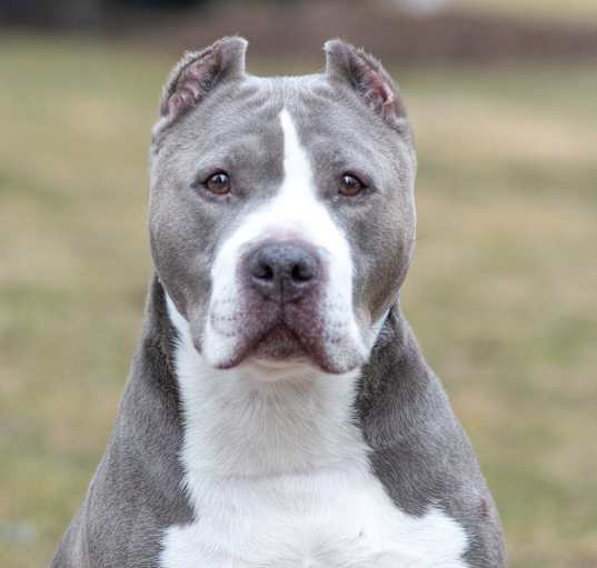 Photo of Kiko