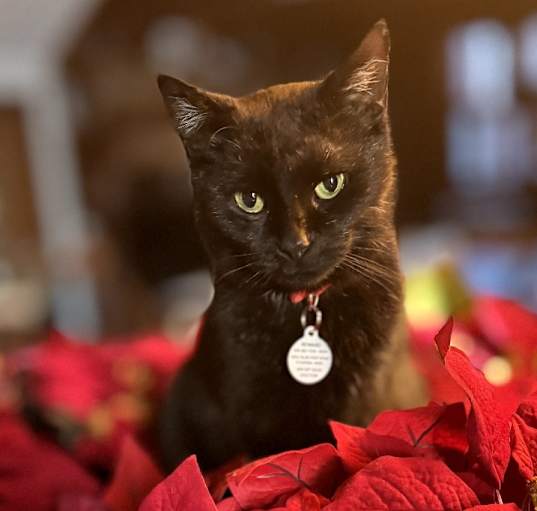 Photo of Clawdia