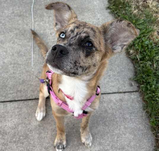 Photo of Athena