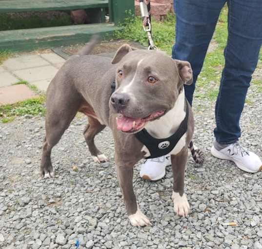 Photo of Tank