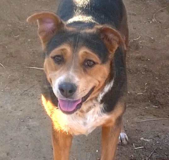 Photo of CECE