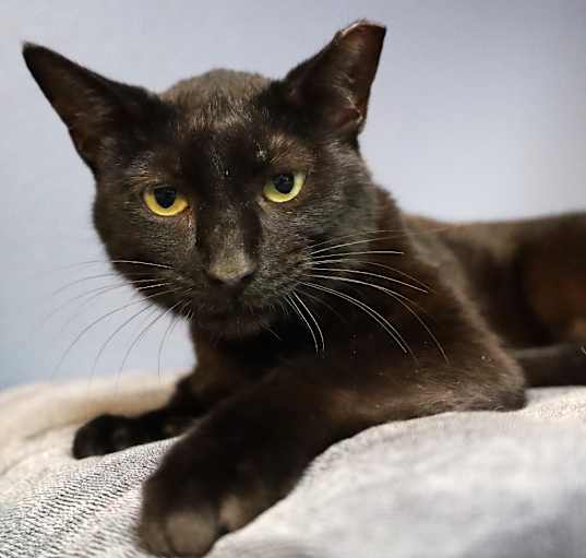 Photo of Hazel