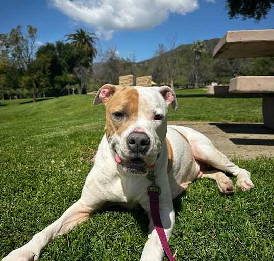 Photo of Brenda A2157752