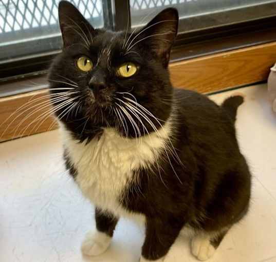 Photo of Buford
