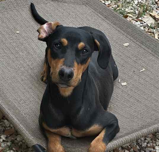 Photo of ZEUS