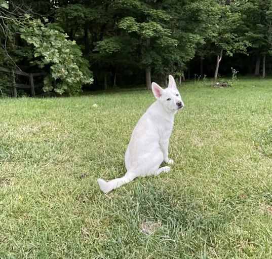 Photo of Cash