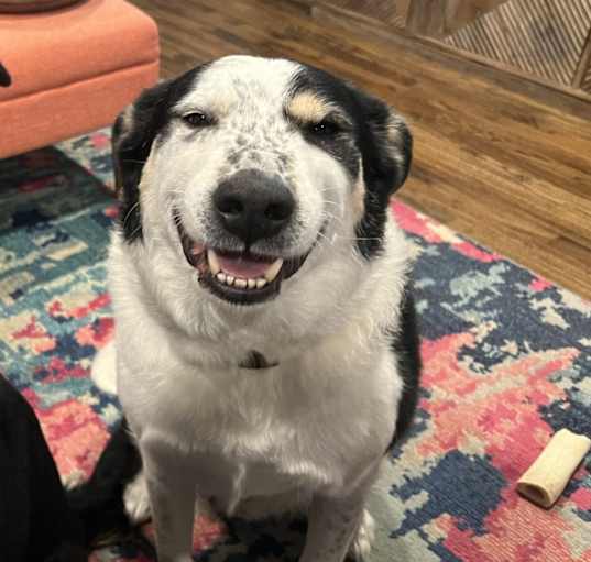 Photo of Logan loves hugs