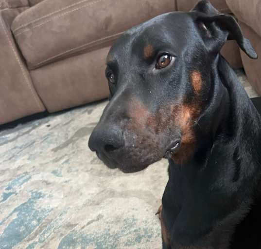 Photo of Benny