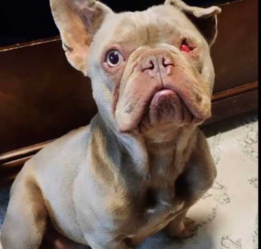Photo of Sosa