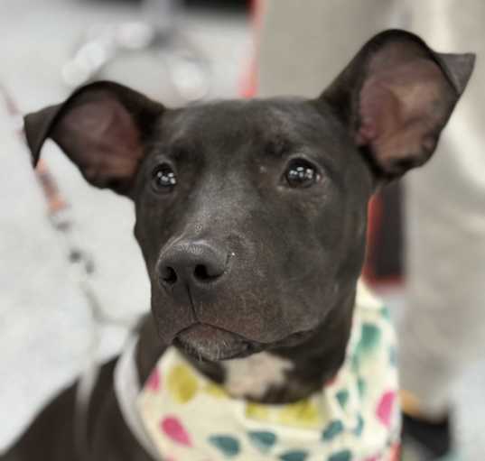 Photo of Reign