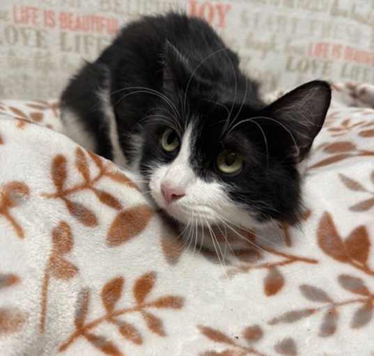 Photo of LUNA