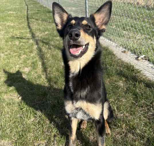 Photo of Bella