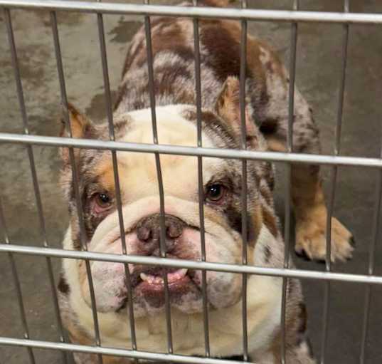 Photo of Twix
