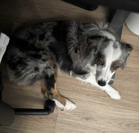 Photo of Rocket