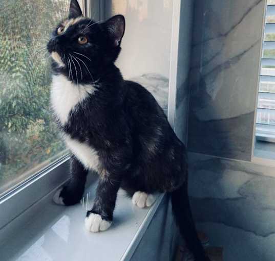 Photo of Bean
