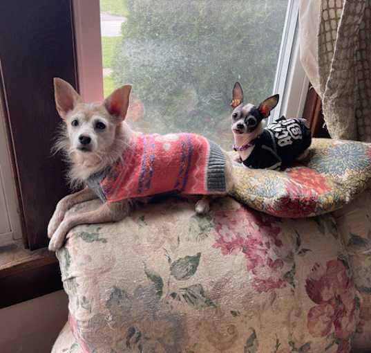 Photo of Dexter & Sophie