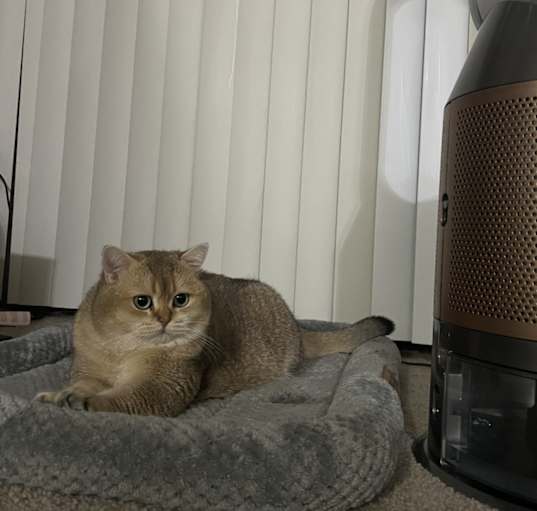 Photo of Floxy and Mia
